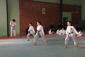 IMG 0047