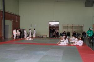 IMG 9494