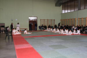 IMG 9495