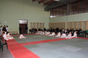 IMG 9497