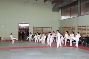 IMG 9504