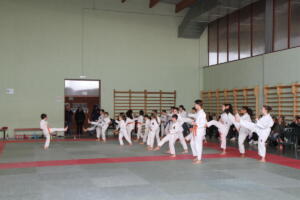 IMG 9505