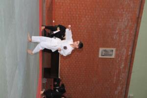 IMG 9531
