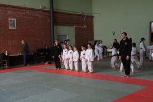 IMG 9564