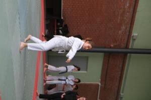 IMG 9583