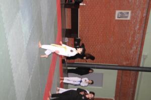 IMG 9597