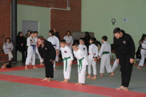 IMG 9603