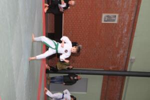 IMG 9606