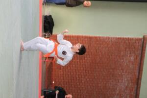 IMG 9661