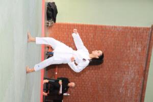 IMG 9671