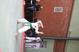 IMG 9712