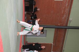 IMG 9717