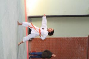 IMG 9728