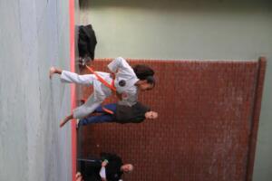 IMG 9729