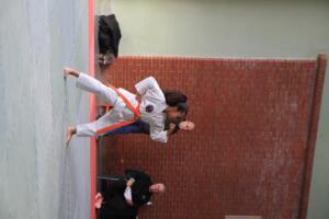 IMG 9730