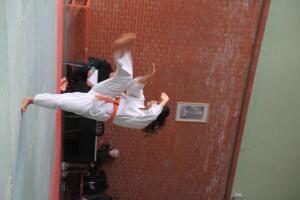 IMG 9734