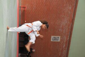 IMG 9737