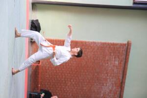 IMG 9741