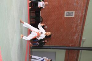 IMG 9748