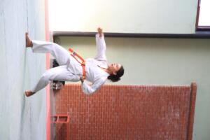 IMG 9751