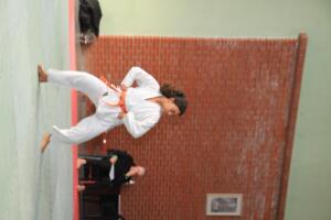 IMG 9752