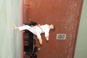 IMG 9754