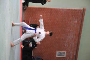 IMG 9773