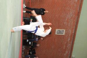 IMG 9779
