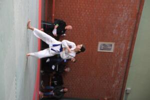 IMG 9790