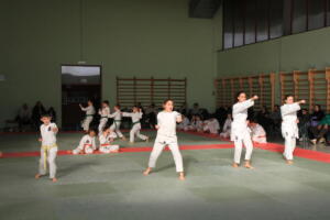 IMG 9976