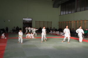 IMG 9977