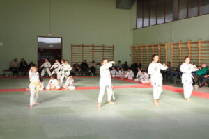 IMG 9978