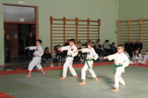 IMG 9979