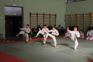 IMG 9980