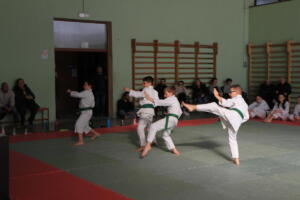 IMG 9981