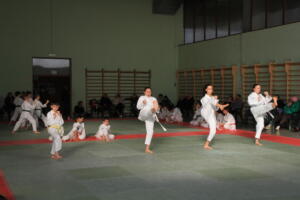 IMG 9982
