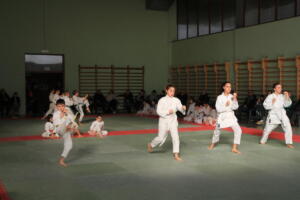 IMG 9983