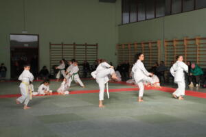IMG 9984