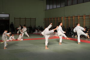 IMG 9985
