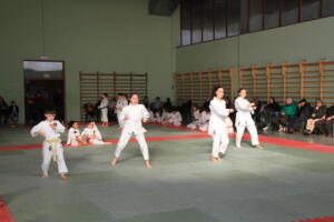 IMG 9986