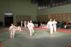 IMG 9987