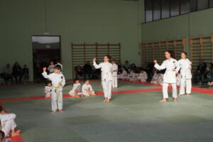 IMG 9988