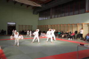 IMG 9989