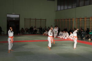 IMG 9991