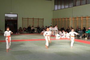 IMG 9992