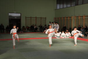 IMG 9994