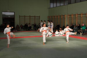 IMG 9995