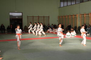 IMG 9997