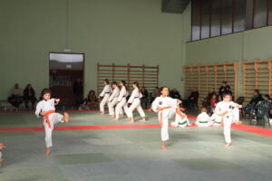 IMG 9998