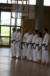 IMG 7779